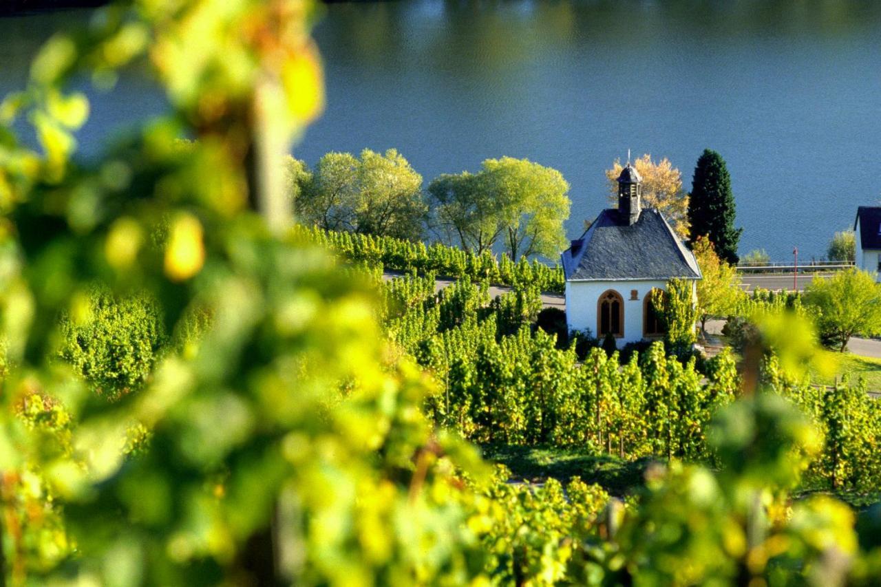 דירות Kövenig Weingut Christoffel מראה חיצוני תמונה